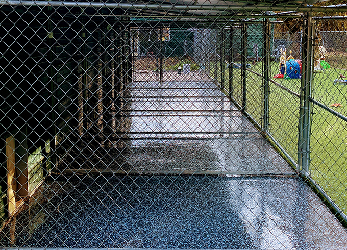 Seamless coated flooring designed for animal care areas